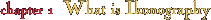 What is Ikonography?