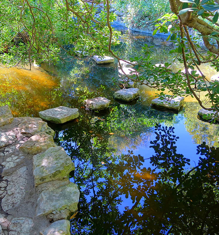Koi Pond in Austin