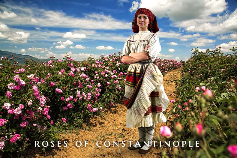 Roses of Constantinople