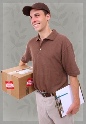 My Delivery Guy