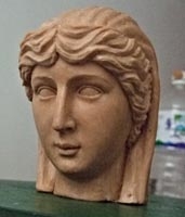 Model of the new head