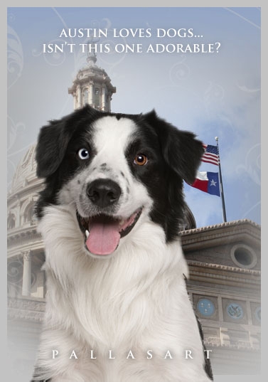 Austin Number One City for Dogs