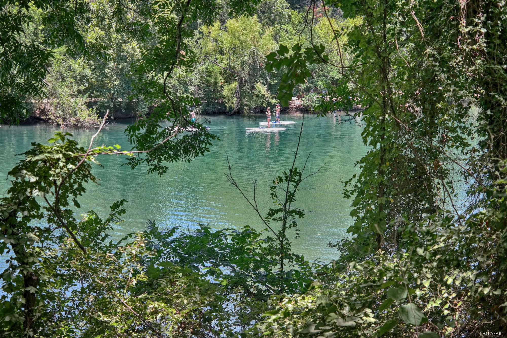 Stand Up Paddleboards on Barton Creek
