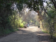 Butler Hike and Bike Trail in Austin, TX