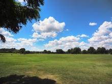 Zilker Park Green Lawn