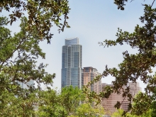 View of the Austonian Looking Through Trees