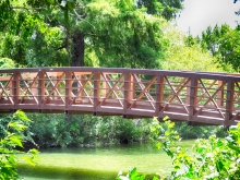 Foot Bridge over Hike and Bike Trail