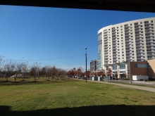 Dog Play Area across from Gables Park Tower