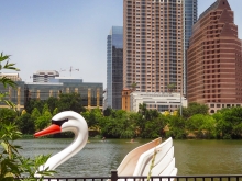 Swan Boat in Downtown Austin, Texas