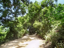 Austin's Town Lake Hike and Bike Trail