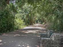 Austin Hike and Bike Trail