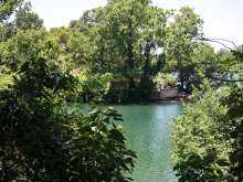 Lou Neff Point from across Barton Creek