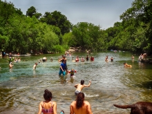 Austin's Barking Spings Just Outside Barton Springs